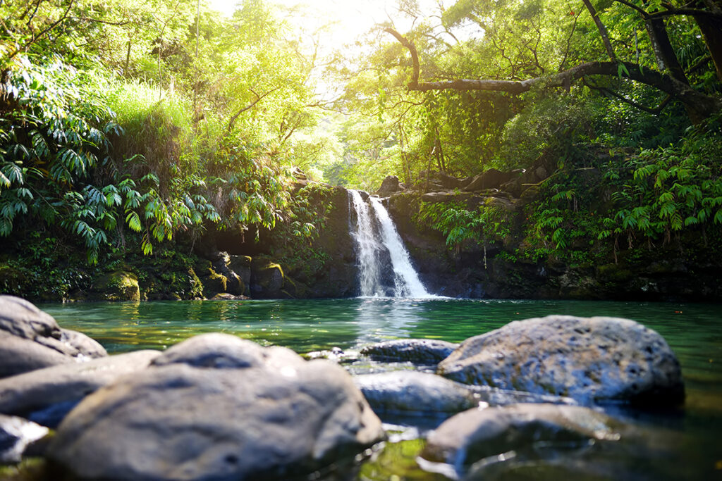 Tropical waterfall Lower Waikamoi Falls and a small crystal clear pond, inside of a dense tropical rainforest, off the Road to Hana Highway, Maui, Hawaii, USA